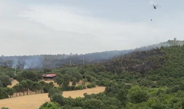 İvrindi'de orman yangını