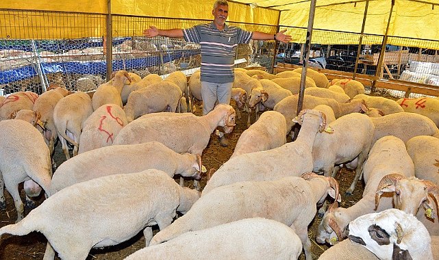 İzmir'de Kurban Bayramı için bağış kampanyası başladı