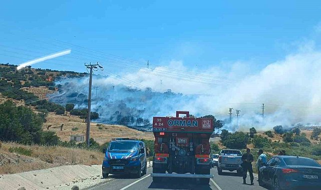 İzmir'de makilik ve otluk alanda yangın