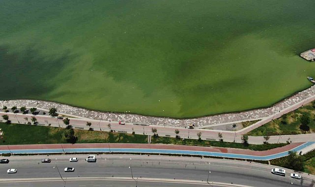 İzmir'in iki ilçesinde denizin rengi değişti, kötü koku yayıldı