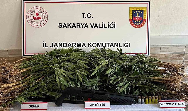 Jandarma uyuşturucuya geçit vermiyor: 5 gözaltı