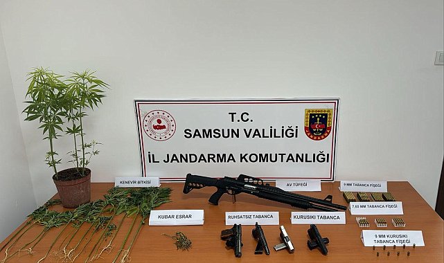 Jandarmadan uyuşturucu ve silah operasyonu: 2 gözaltı