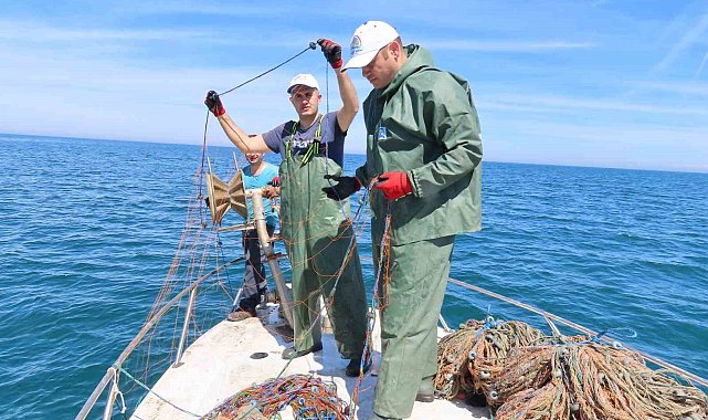 Kaçak kalkan avcılarına yakın takip