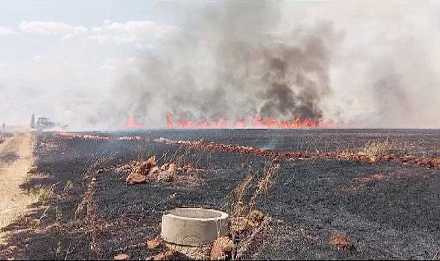 Kahramanmaraş'ta buğday tarlasında yangın