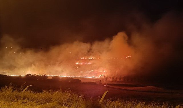 Kahta'daki anız yangını korkuttu