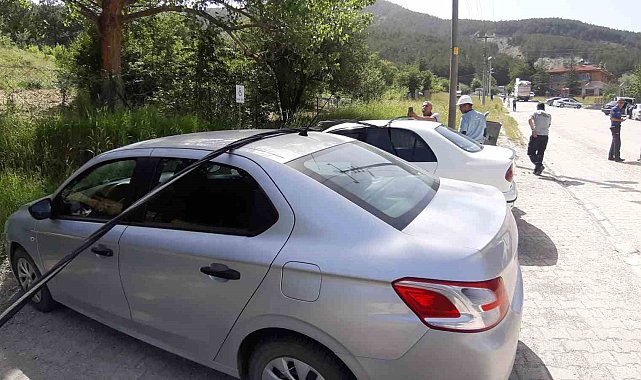 Kamyonun yolculuğu felaketle sonuçlandı: Direk söküldü, yangın çıktı