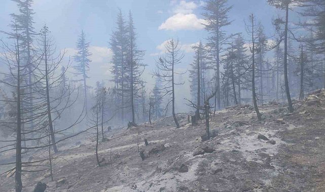 Karaman'da çıkan orman yangınına havadan ve karadan müdahale ediliyor