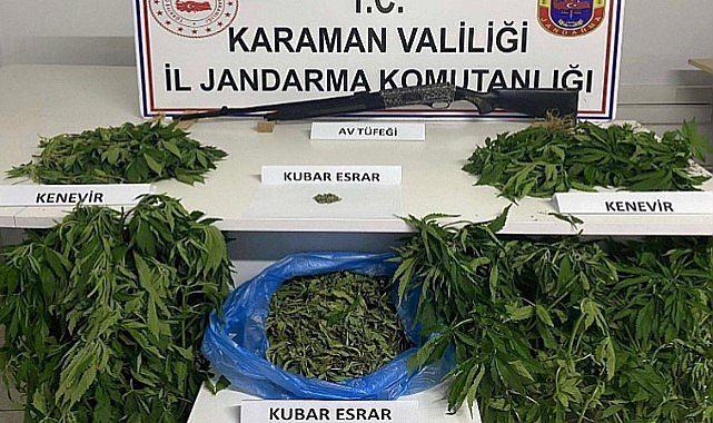 Karaman'da kenevir operasyonu: 1 tutuklama