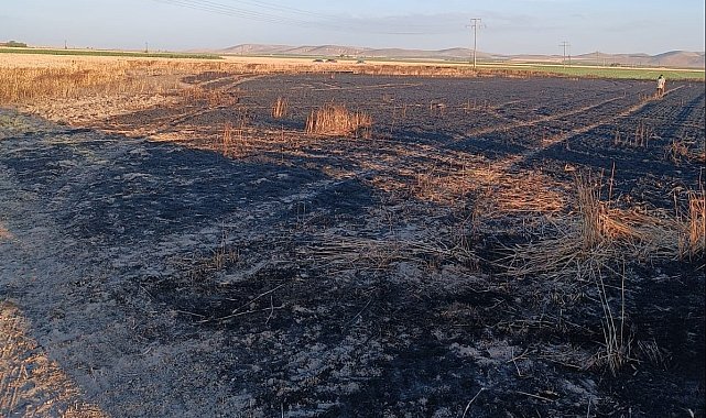 Karapınar'da buğday ekili tarla yandı