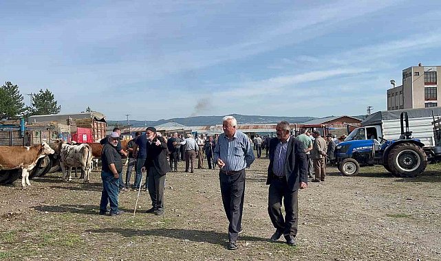 Kastamonu'da hayvan pazarında Kurban Bayramı öncesinde hareketlilik