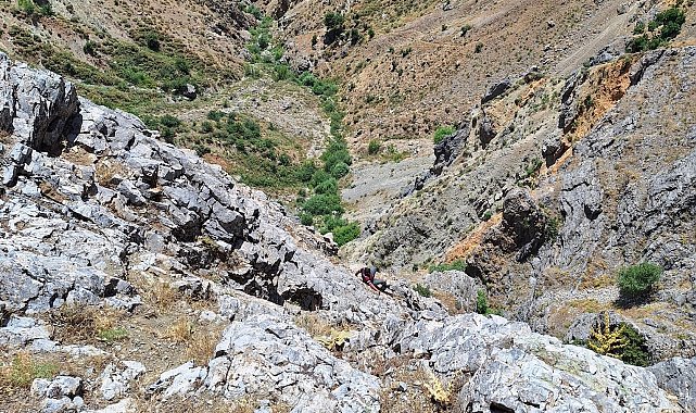 Kayalıklarda mahsur kalan şahsı AFAD kurtardı