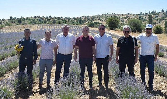 Kaymakam Gökçe, lavanta ve altın otu hasadına katıldı
