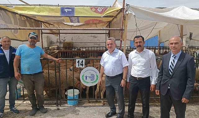 Kaymakam Öztürk hayvan pazarında incelemelerde bulundu