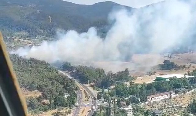 Kemalpaşa'da orman yangını