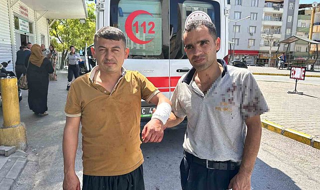 Kendini kesen acemi kasaplar hastanelere koştu