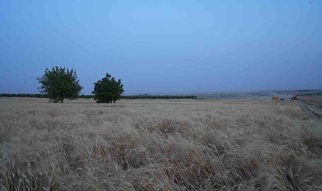 Kilis'te çiftçilerin zorlu mesaisi bayramda da devam ediyor