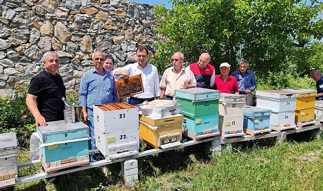 Kırklareli&#039;nde &quot;ana arı&quot; dağıtımı