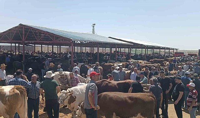 Kırşehir'de arife günü kurban pazarında sıkı pazarlık