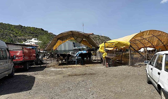 Kızılcahamam'da kurban pazarı kuruldu