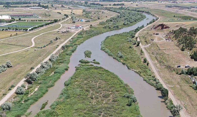 Kızılırmak adeta kurudu, yatağı otluğa dönüştü