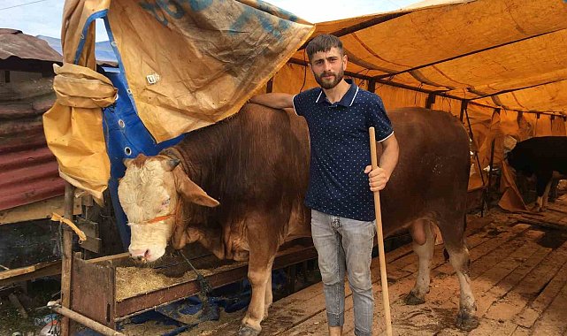 Kocaeli'de kurbanlıkların yarısı satıldı