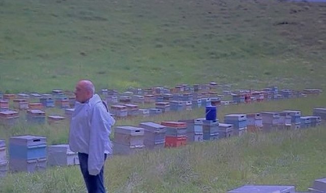 Kovanlarını taşıyan arıcılar şimşeklerin arasında kaldı