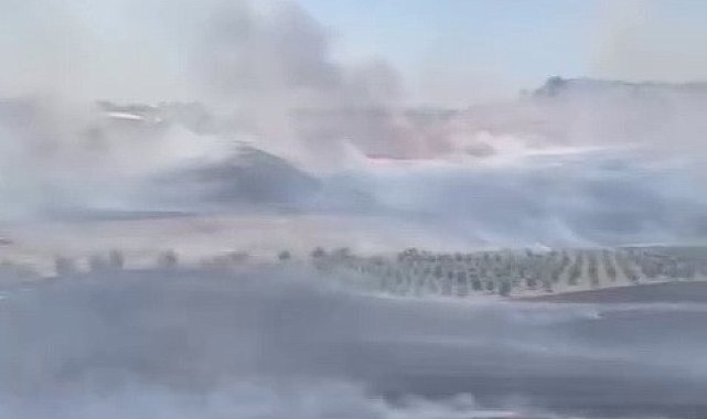 Köyde çıkan anız yangını güçlükle söndürüldü