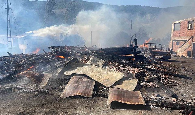 Köyde çıkan yangında 10 ev alevlere teslim oldu