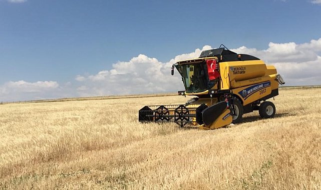 Kulu'da tarım alanlarında hasat başladı