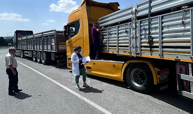Kurban Bayramı öncesi gıda denetimlerine hız verildi
