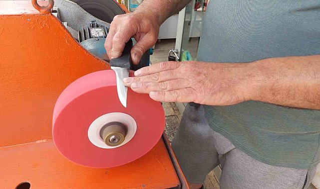 Kurban kesecekler dikkat: Eziyet etmemek için mutlaka bunu yapın