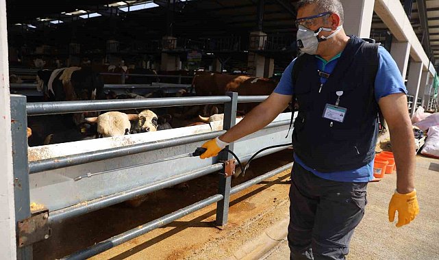 Kurban pazarlarında sinekle mücadele sürüyor