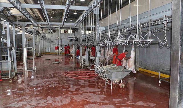 Kurban satış yerleri ve mezbahalarda ilaçlama çalışmaları tamamlandı