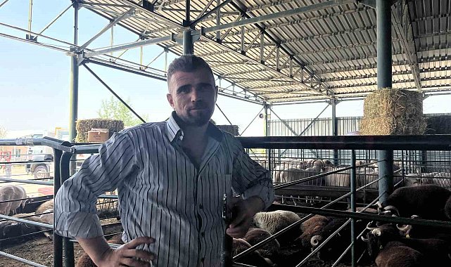 Kurbanlıklarını 13 saatlik yolculukla bin 138 kilometre uzaktan getirdi