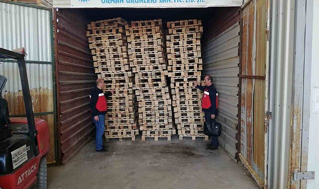 Kütahya'da 18 adet ISPM-15 işletme fırınında denetim