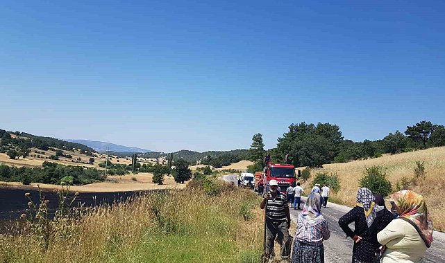 Kütahya'da buğday tarlasında yangın