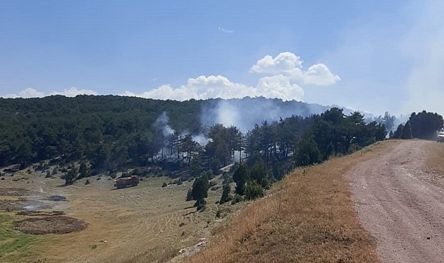 Kütahya'da orman yangını kontrol altına alındı