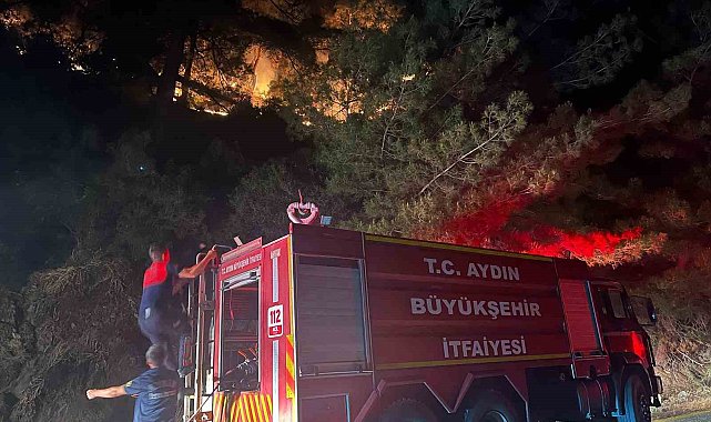Kuyucak'ta zirai alan yangını