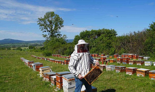 KUZKA'nın desteğiyle Kastamonu'da arıcılığı geliştirecek proje: Maliyet yüzde 20 azaldı