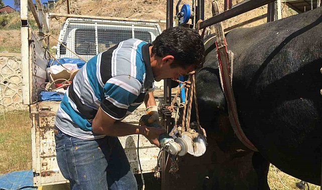 Mahalle mahalle gezip tırnak bakımı yapıyor