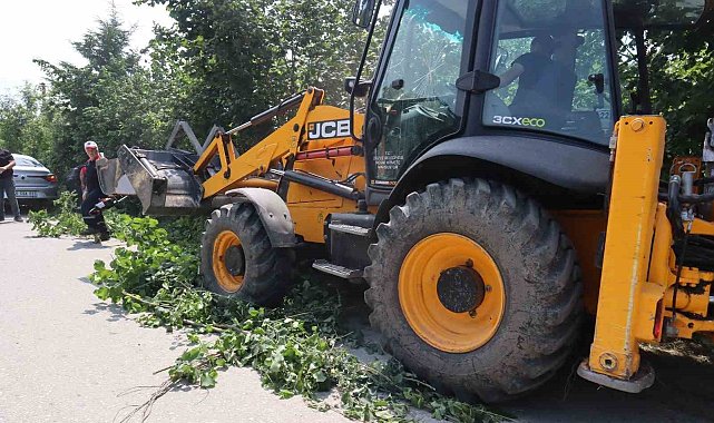 Mahalle olan bölgelerde hummalı çalışma