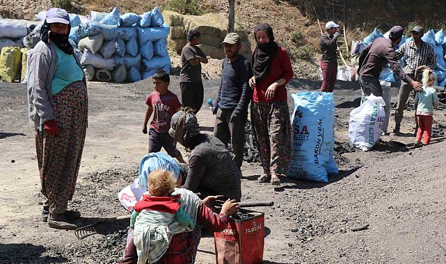 Mangal kömürü üretmek için gece gündüz mesai yapıyorlar