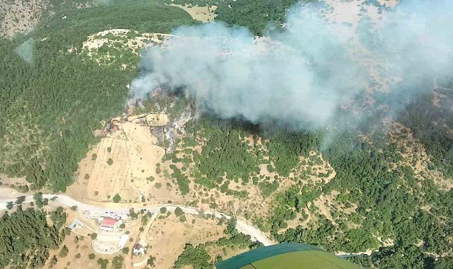 Manisa Spil Dağı Milli Parkı'nda yangın