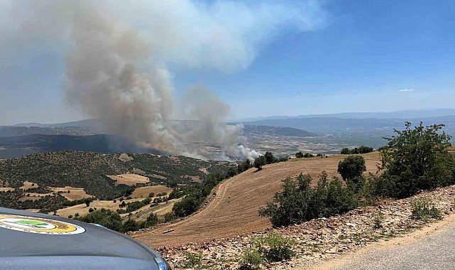 Manisa Valiliğinden yangına ilişkin açıklama