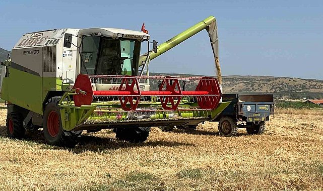 Manisa'da biçerdöverlerin dane kaybına sıkı denetim