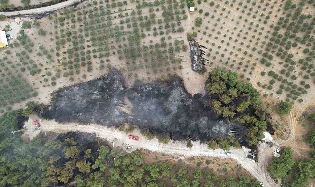 Manisa'daki orman yangını köye sıçramadan kontrol altına alındı