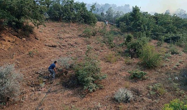 Manisa'daki orman yangını söndürüldü