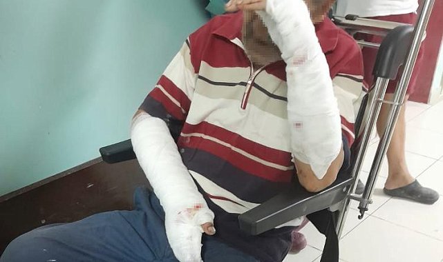 Manyas'ta köpeklerin saldırısına uğrayan bir kişi feci şekilde yaralandı