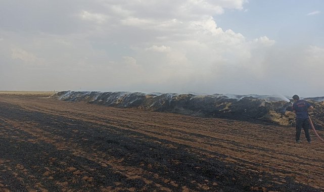 Mardin'de 300 ton saman balyası kül oldu