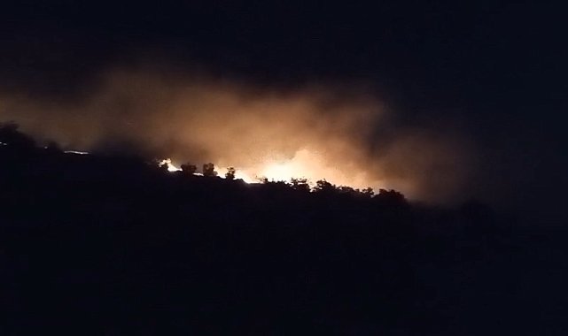 Mardin'de 5 ayrı noktada çıkan anız yangını söndürüldü